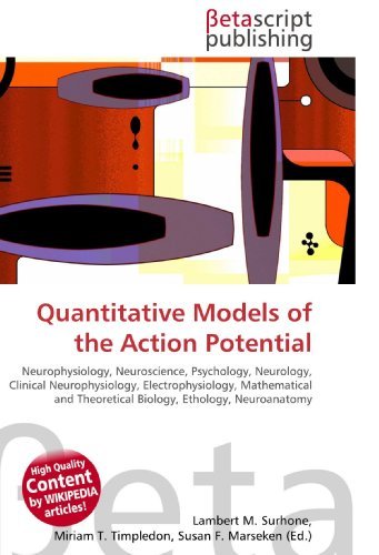 Quantitative Models Of The Action Potential Neurophysiology