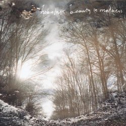 Beauty in Madness