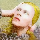 Hunky Dory