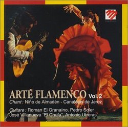 Arte Flamenco V.2