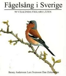 Fagelsang I Sverige