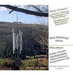 Teign Gorge: Outlandish Wind Chimes Ensembles! (2)