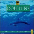 Nature Whispers: Dolphins