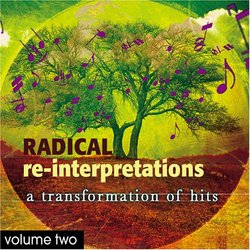 Radical Re-Interpretations Volume 2: A Transformation of Hits