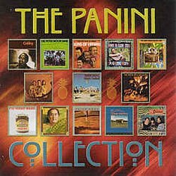 The Panini Collection