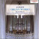 Organ Works