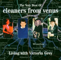Living With Victoria Grey: Very Best of Cleaners