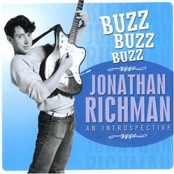 Buzz Buzz Buzz: An Introspective