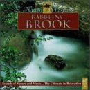 Nature Whispers: Babbling Brook