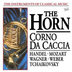 The Instruments Of Classical Music: The Horn