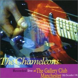 Live at the Gallery Club