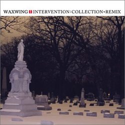 Intervention: Collection + Remix