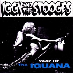Year of Iguana