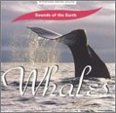 Sounds of the Earth: Whales