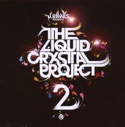 Liquid Crystal Project 2