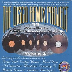 Disco Remix Project 2