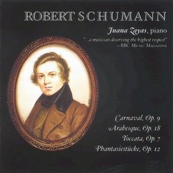 Schumann: Solo Piano Works Vol.2