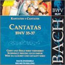 Bach: Cantatas, BWV 35-37