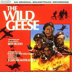 Wild Geese