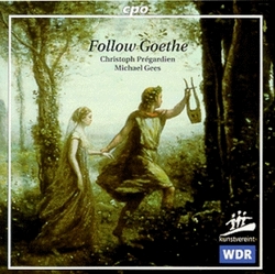 Follow Goethe
