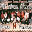 Power N Numbers