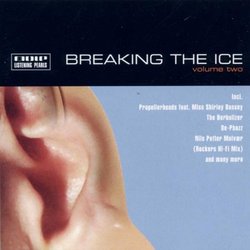 Breaking the Ice 2