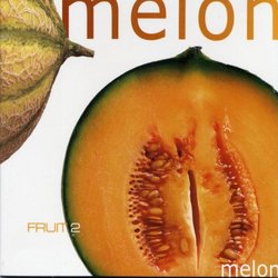 Melon Fruit V.2