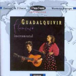 Duo Flamenco Instrumental