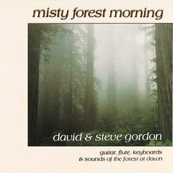 Misty Forest Morning