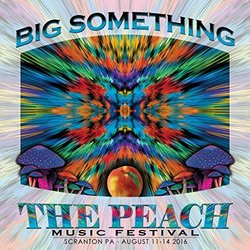 Big Something / Peach Music Festival 2016