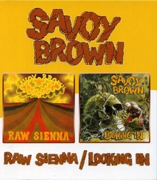 Raw Sienna/Looking in