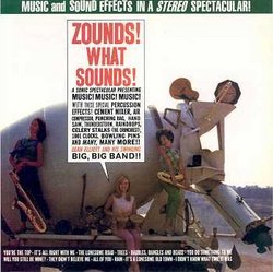 Zounds! What Sounds! / Music from a Surplus Store