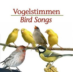 Vogelstimmen