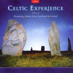 Celtic Experience Volume 2