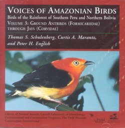 Voices of Amazonian Birds, Vol. 3: Ground Antbirds Through Jays