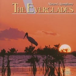 Nature's Symphony from the Everglades