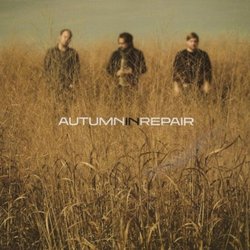 Autumn In Repair