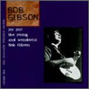Joy Joy!: The Young And Wonderful Bob Gibson