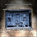 Roots of Muddy Waters