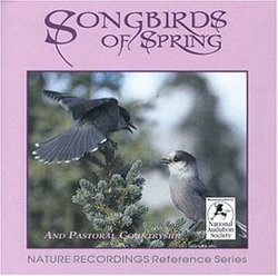 Songbirds of Spring