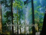 Nature's Healing