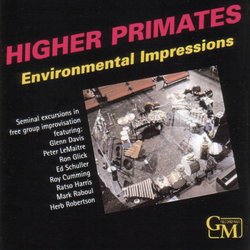 Higher Primates: Environmental Impressions