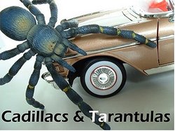 Cadillacs & Tarantulas