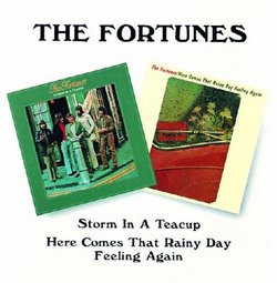 Storm in a Teacup / Here Comes That Rainy Day