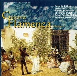 Guitarra Flamenca 2