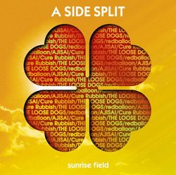 Side Split 4 / Sunrise Field