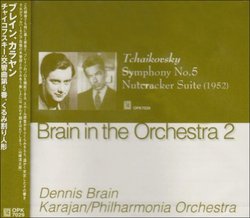 Brain in the Orchestra 2