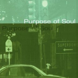 Purpose of Soul