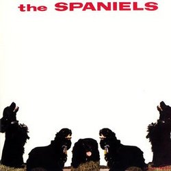 Spaniels (24bt) (Mlps)