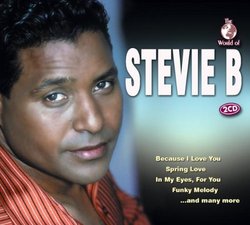 The World of Stevie B